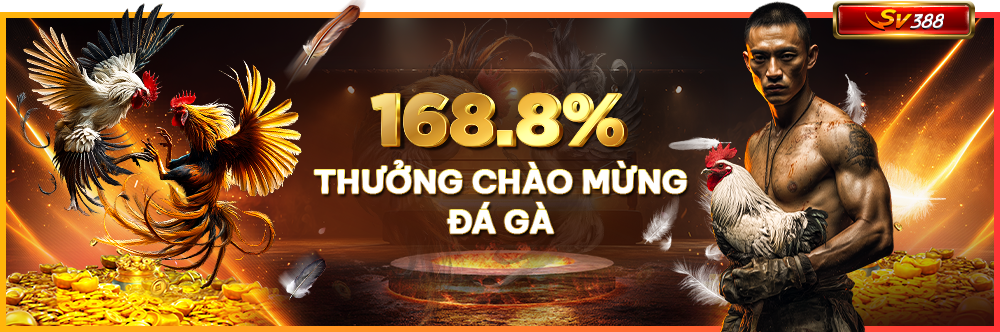 Các Chương Trình Khuyến Mãi Đá Gà 123ga Mới Nhất