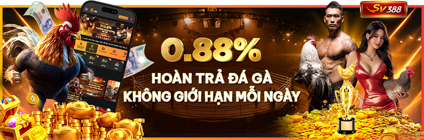 Hoàn Trả Cược Hàng Ngày Cho Sảnh Đá Gà